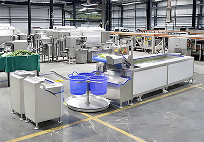 Fruit and vegetable cleaning machine