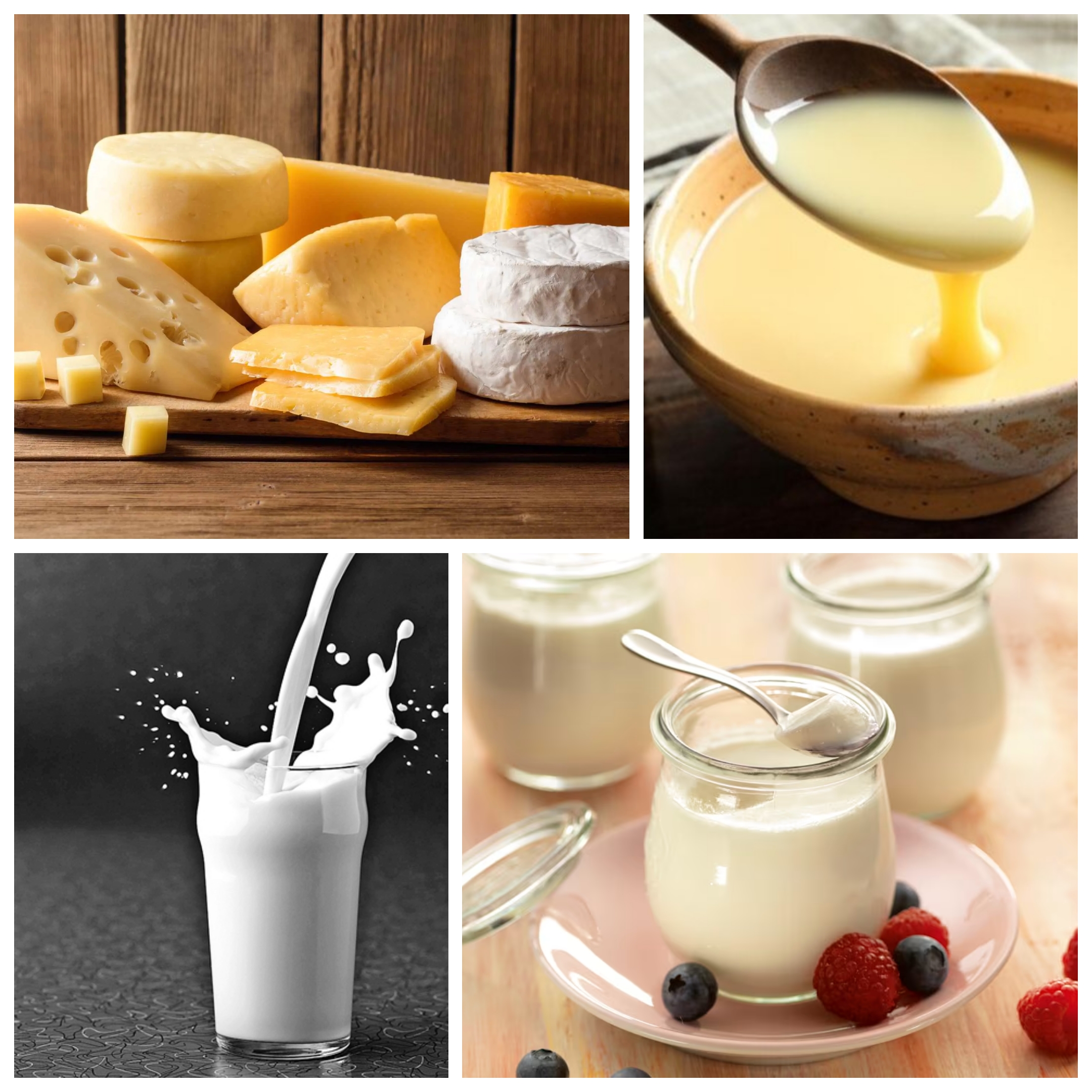 Dairy Production Line