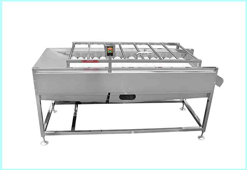 Bristle Brush Spray Cleaning Machine