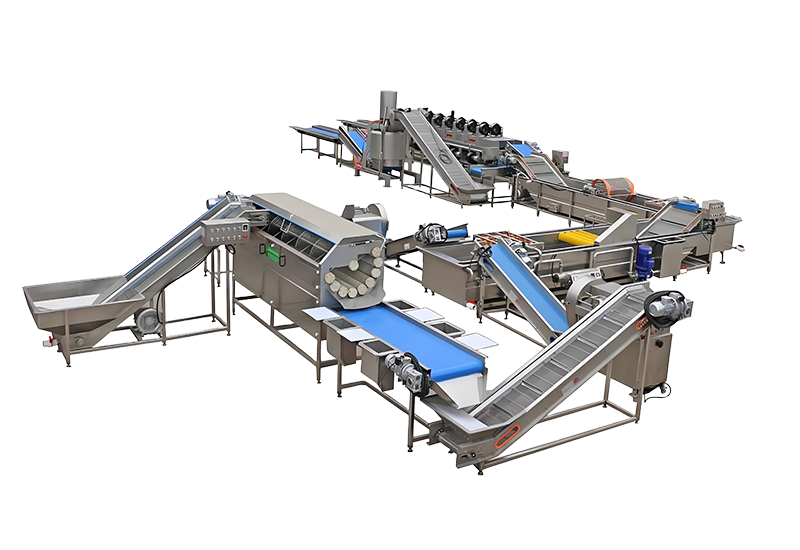 ‌Fruit and Vegetable Processing Line