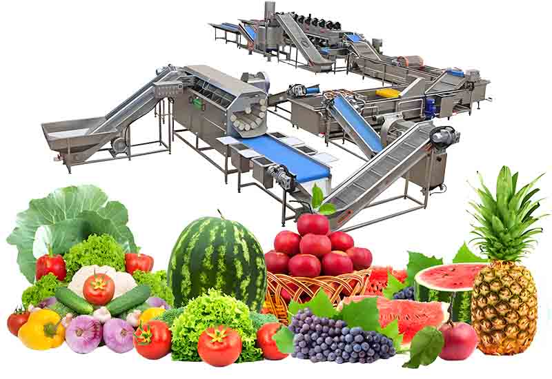 ‌Fruit and Vegetable Processing Line