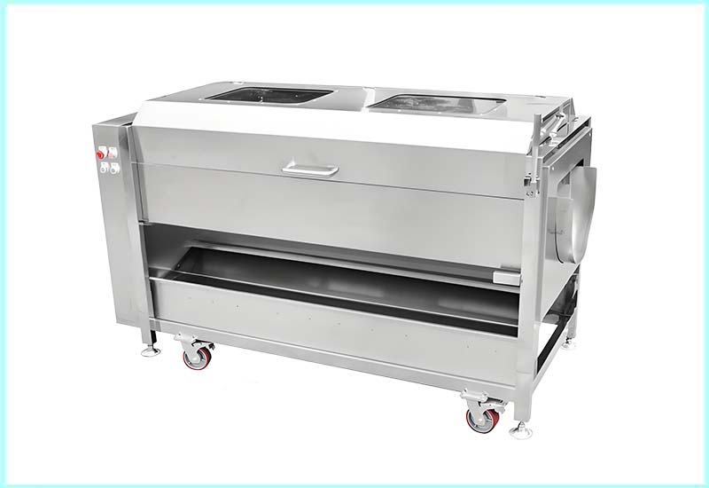 Brush Roller Peeling and Cleaning Machine-1800