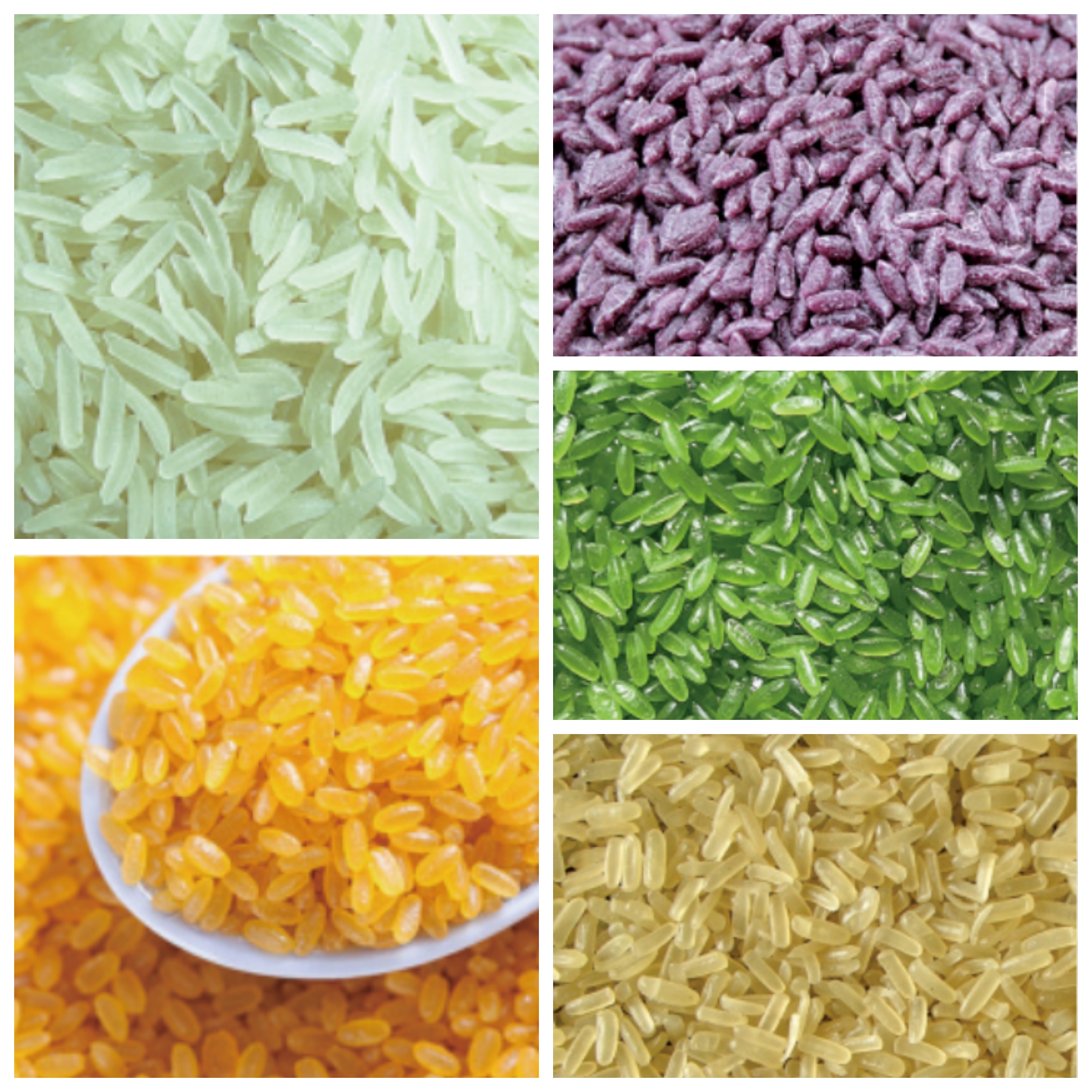 Fortified Rice Machine