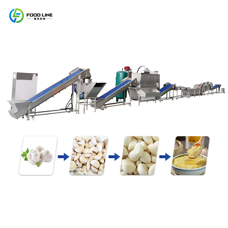 Garlic Processing Line