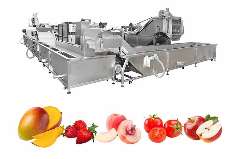 Fruit Processing Line