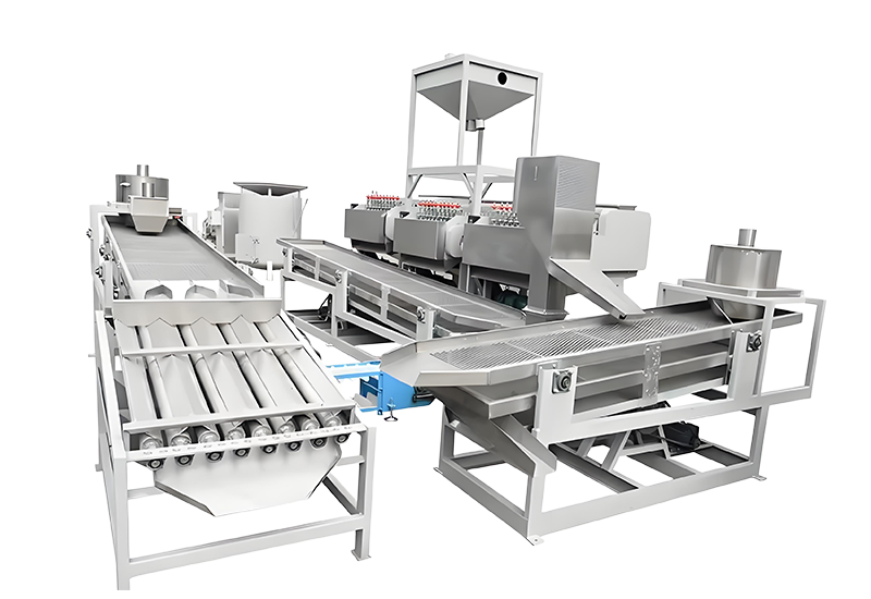 Cashew Processing Line