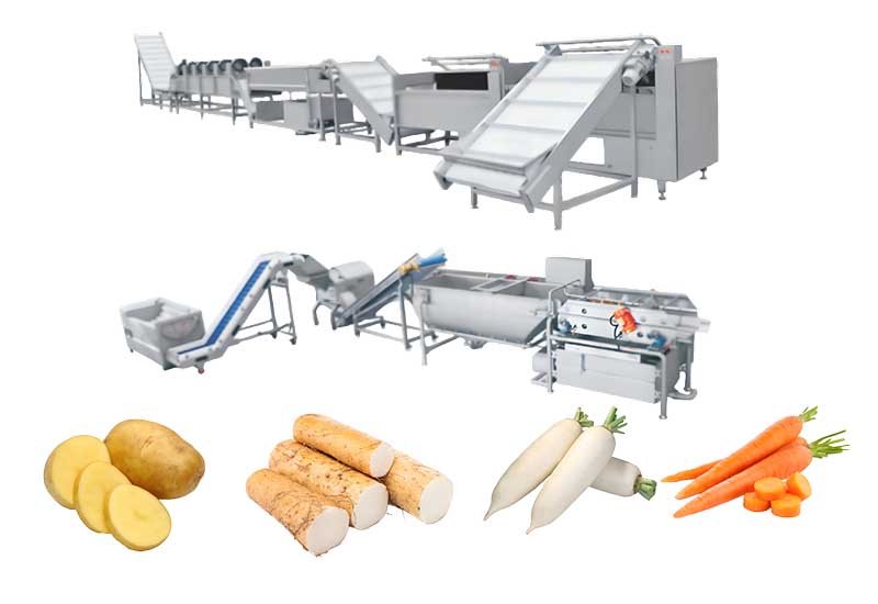 Rhizome Processing Line