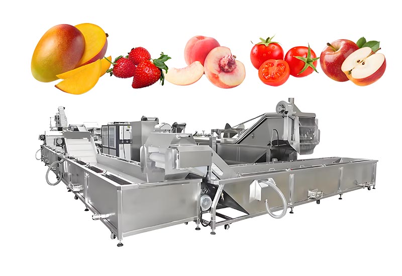 Mango Processing Line