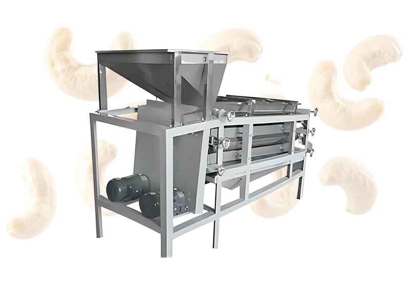 10 Nut Grader Machine