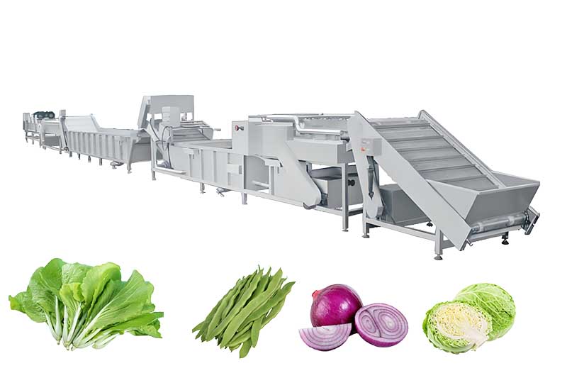 Leafy Vegetable Processing Line