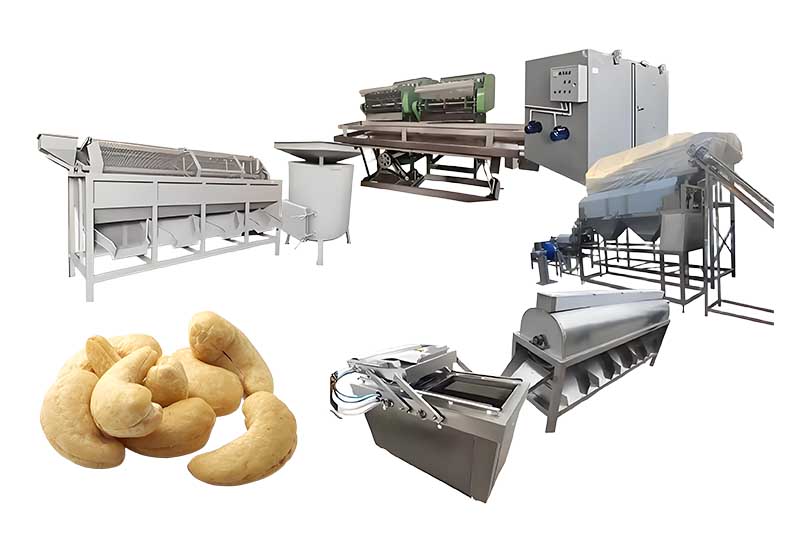 Cashew Processing Line