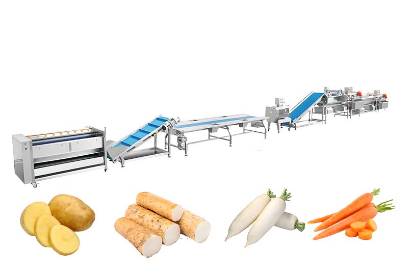 Clean Vegetable Processing Line