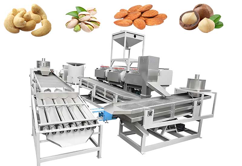 Cashew Processing Line