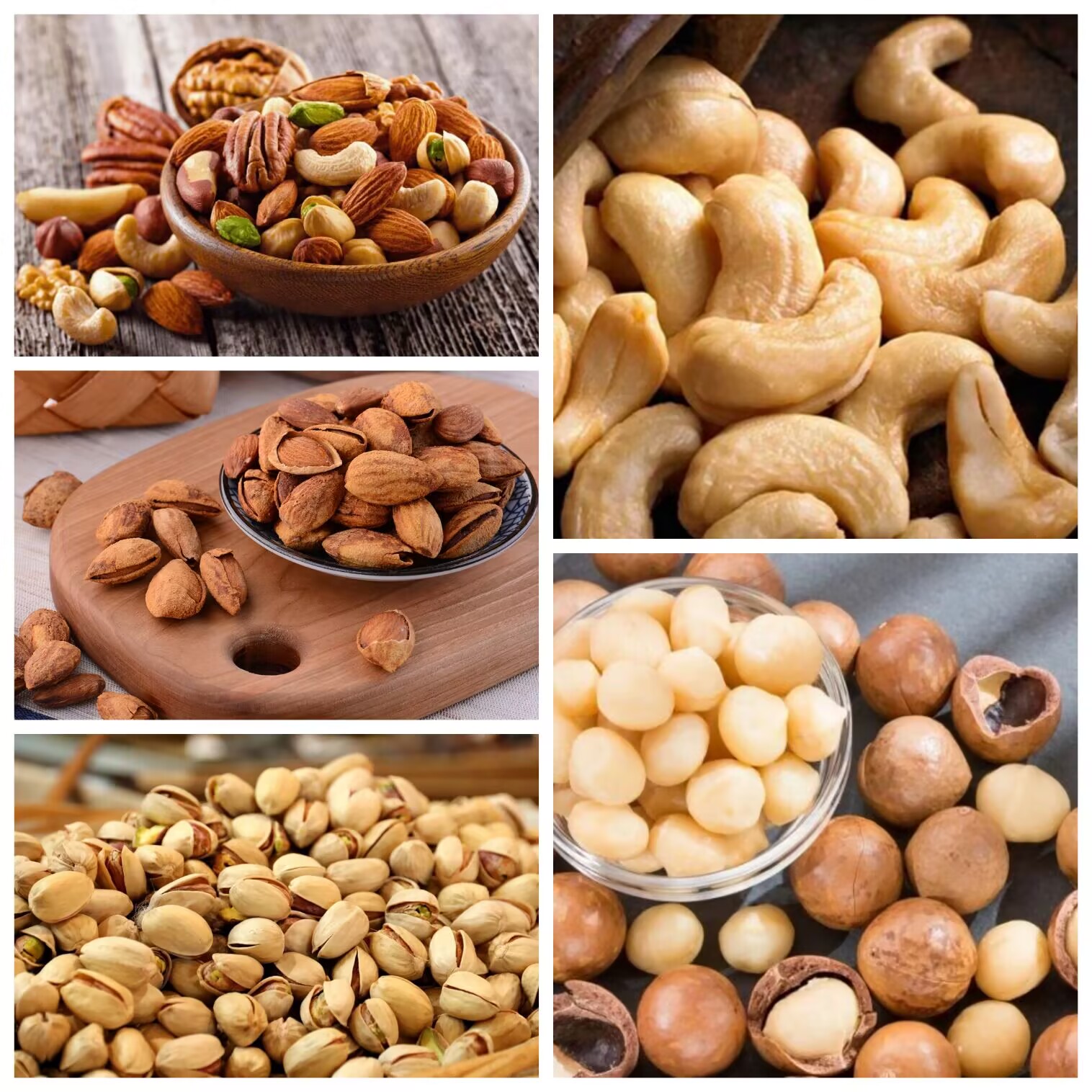 Cashew Processing Line