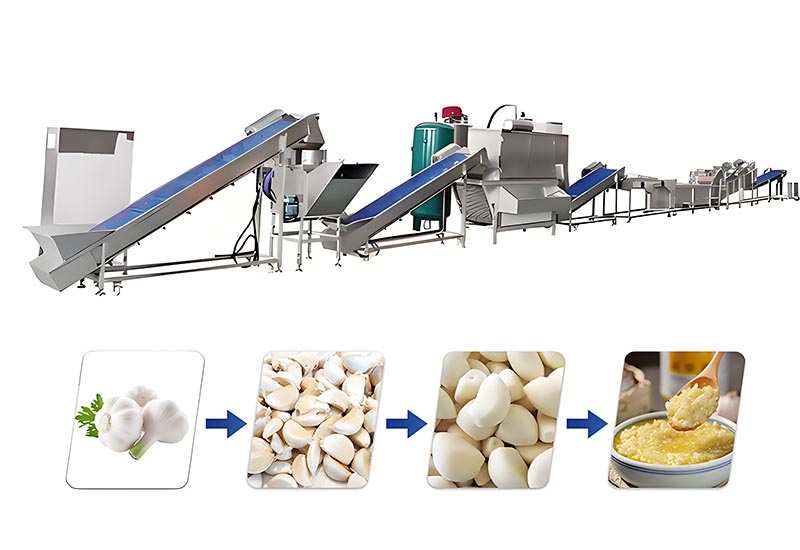 Garlic Processing Line