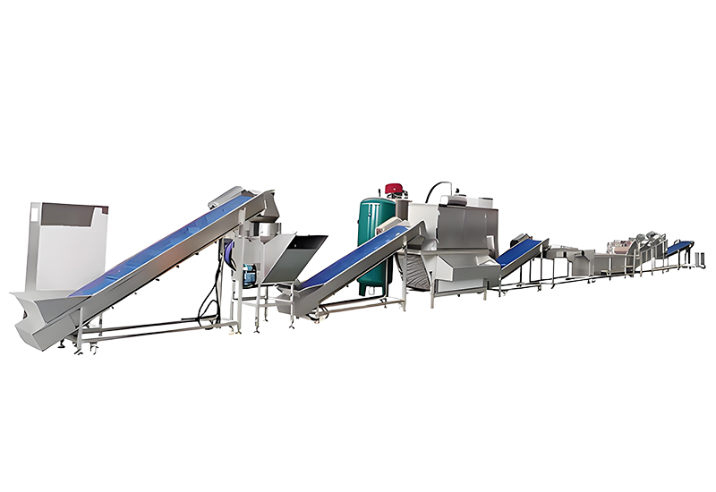 Garlic Processing Line