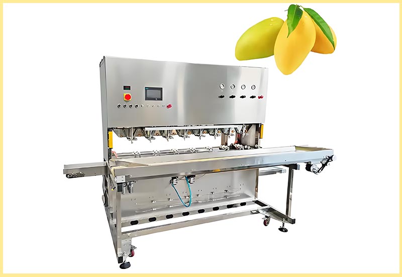 Mango Peeling Machine