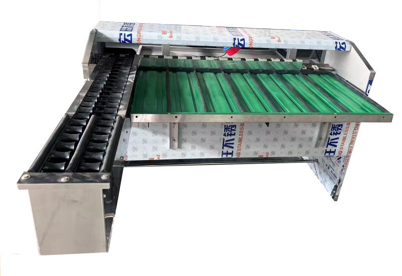 2-Lane 7-Grade Egg Sorting Machine