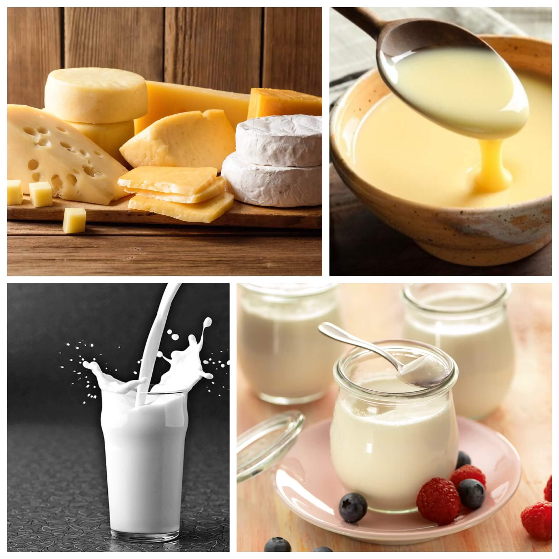 Dairy Production Line