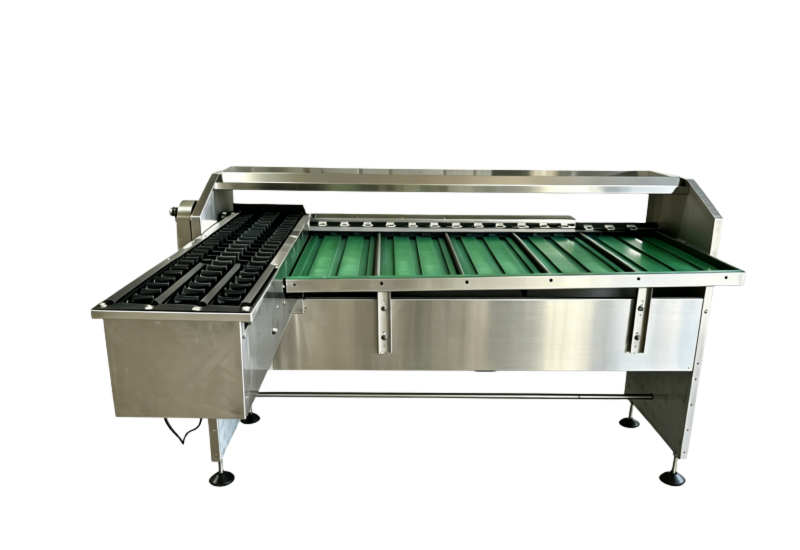 3-Lane 5-Grade Egg Sorting Machine