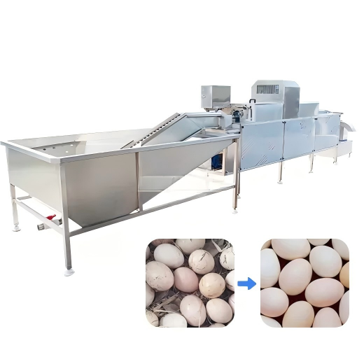 Egg Washing Line