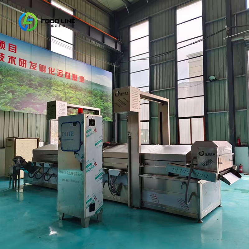 Industrial Continuous Fryer