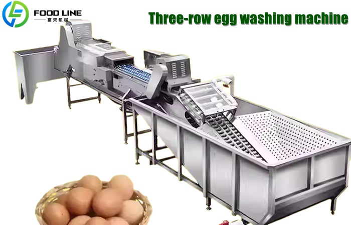 Automatic Egg Washing Machine for Sale | Commercial Egg Cleaner