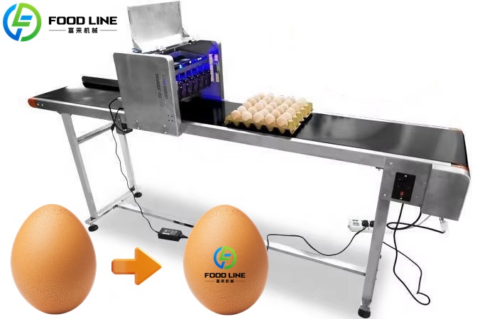 Automatic Egg Printing Machine for Sale | High-Speed Egg Coding System