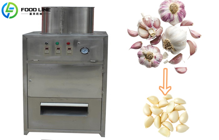 Commercial Electric Garlic Peeler Machine | Automatic Skin Remover