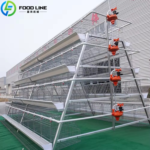  Chicken Layer Cages