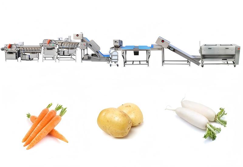 Clean Vegetable Processing Line
