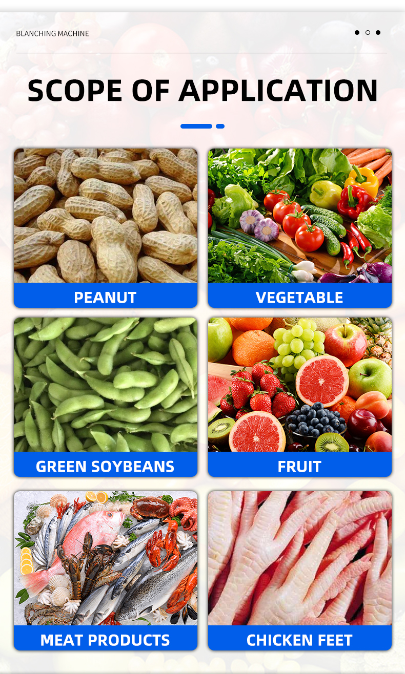 Blanching Machine Application