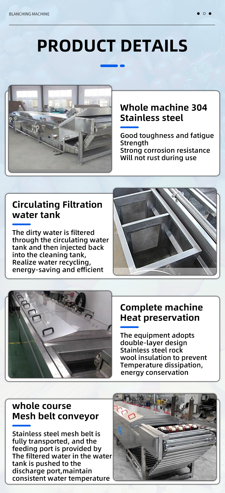 Blanching Machine Details