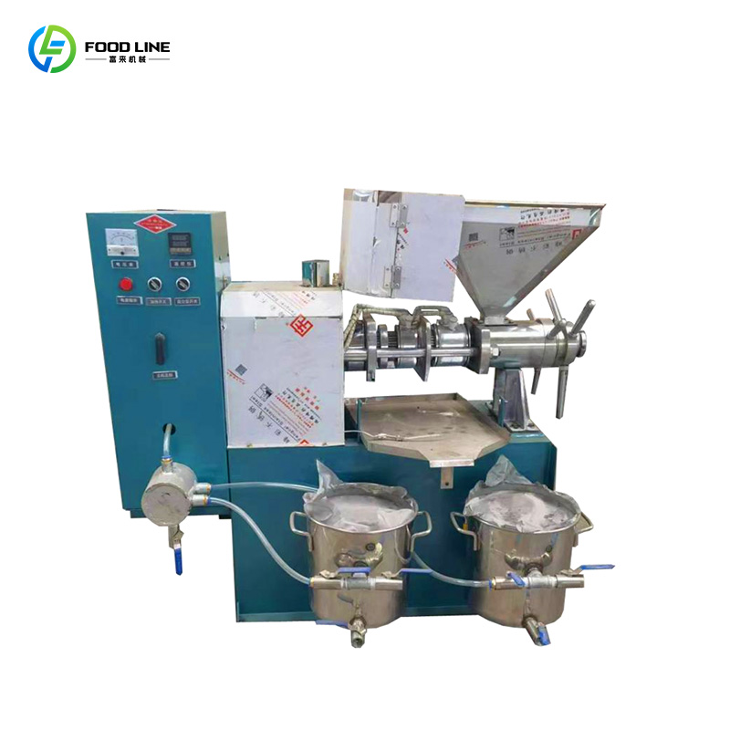 High-Yield Screw Oil Press Machine | Commercial Oil Extraction