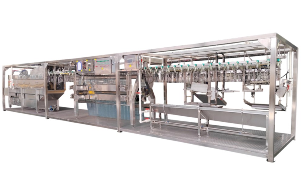 Automatic poultry slaughtering line with overhead conveyor
